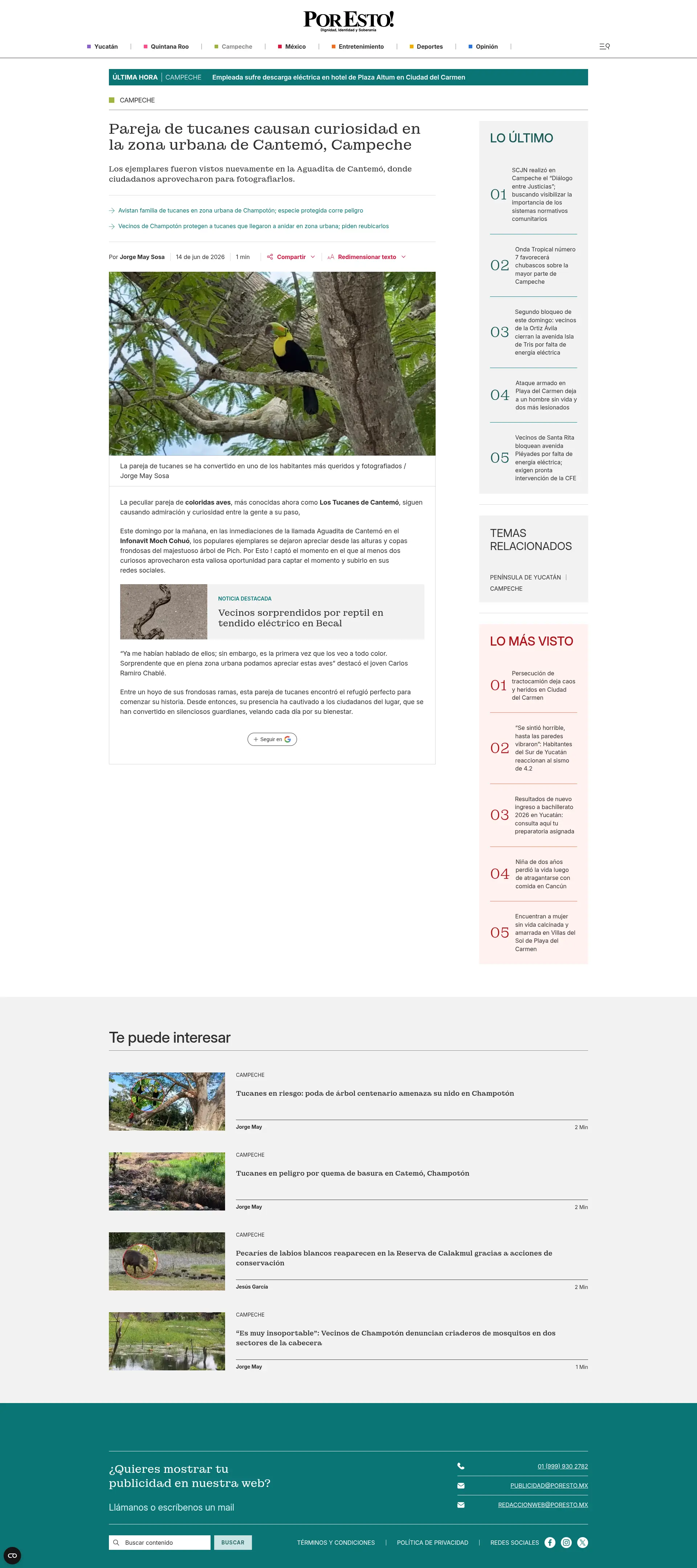 Desarrollo frontend para el periódico PorEsto - imagen 4